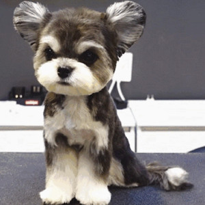 国模女同拉拉图片欣赏
