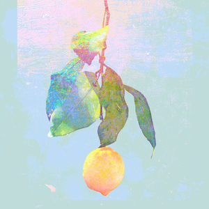 国模女同拉拉图片欣赏
